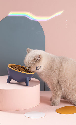 Elevate Your Pet's Dining Experience with the Elevated Pet Feeding Bowl