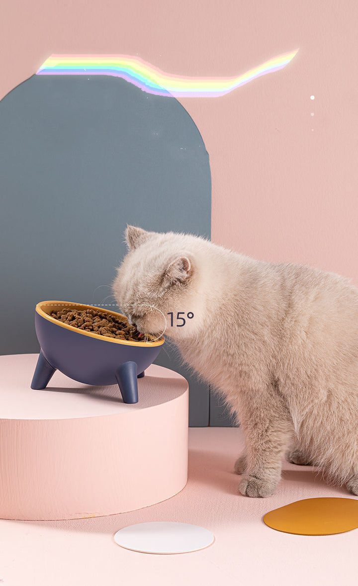 Elevate Your Pet's Dining Experience with the Elevated Pet Feeding Bowl