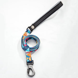 Explore the Ultimate Pet Walking Leash for Daily Use