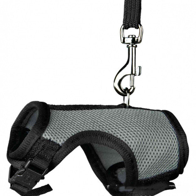 The Essential Small Pet Walking Leash