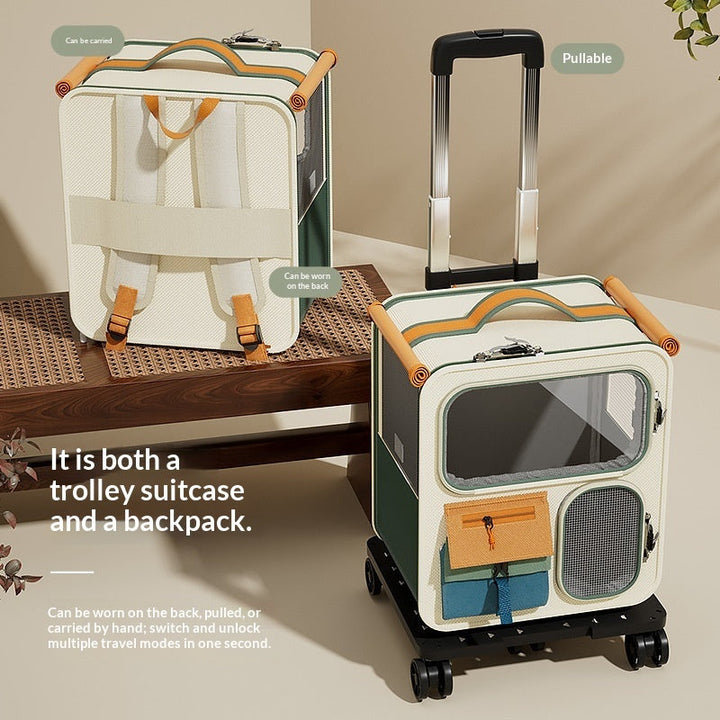 Discover the Ultimate Pet Carrier for Adventurous Pet Owners
