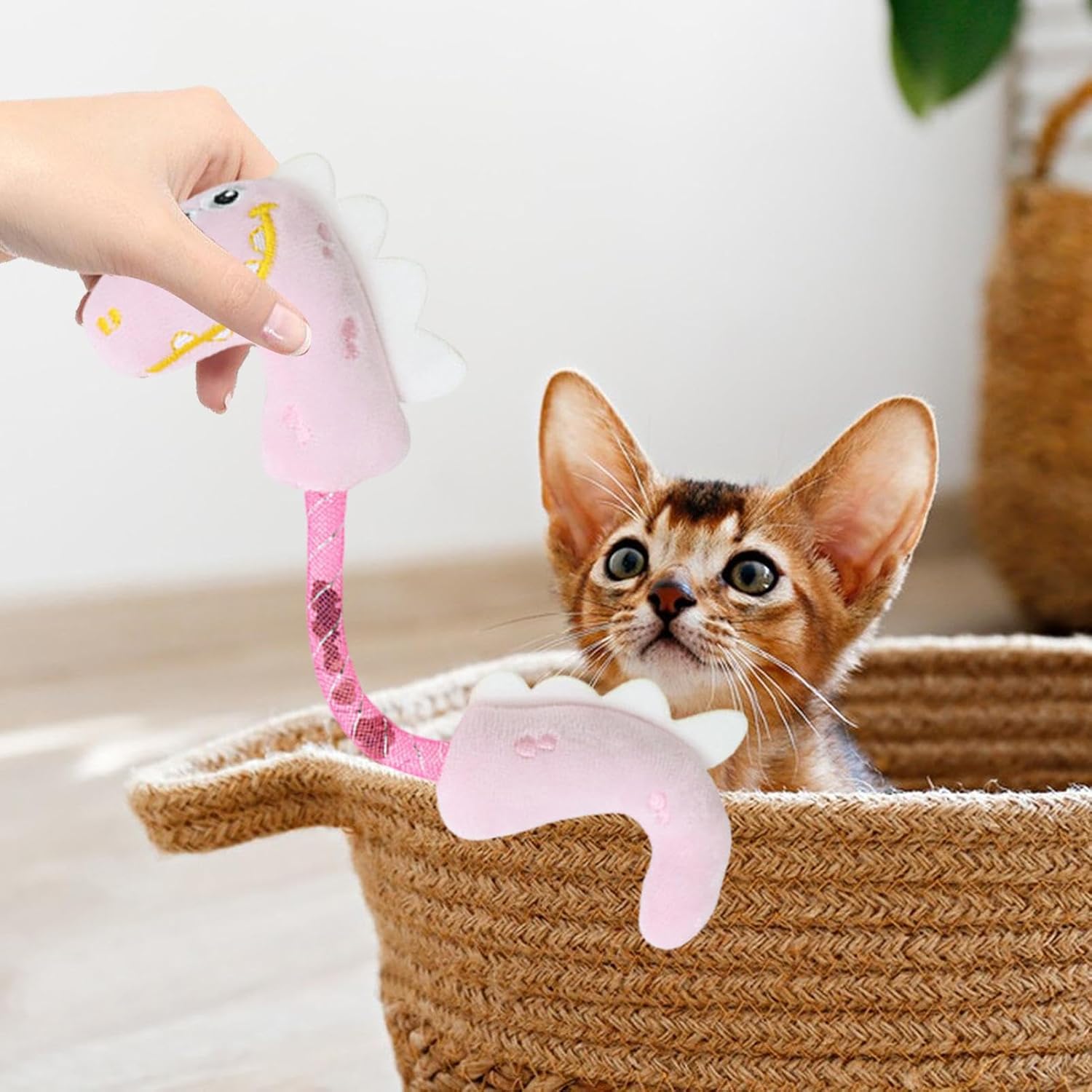 Why Your Cat Needs Our Pet Catnip Chew Rope Toy for Teeth Cleaning