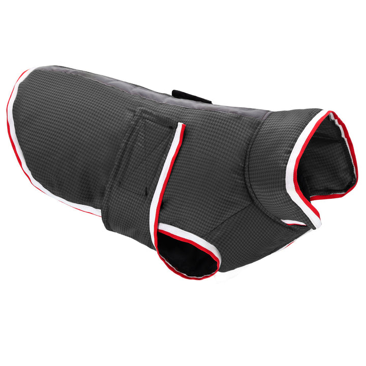 Keep Your Pets Warm and Stylish This Winter