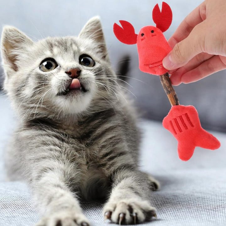 Why Your Cat Needs Pet Silvervine Chew Sticks for Teeth Cleaning