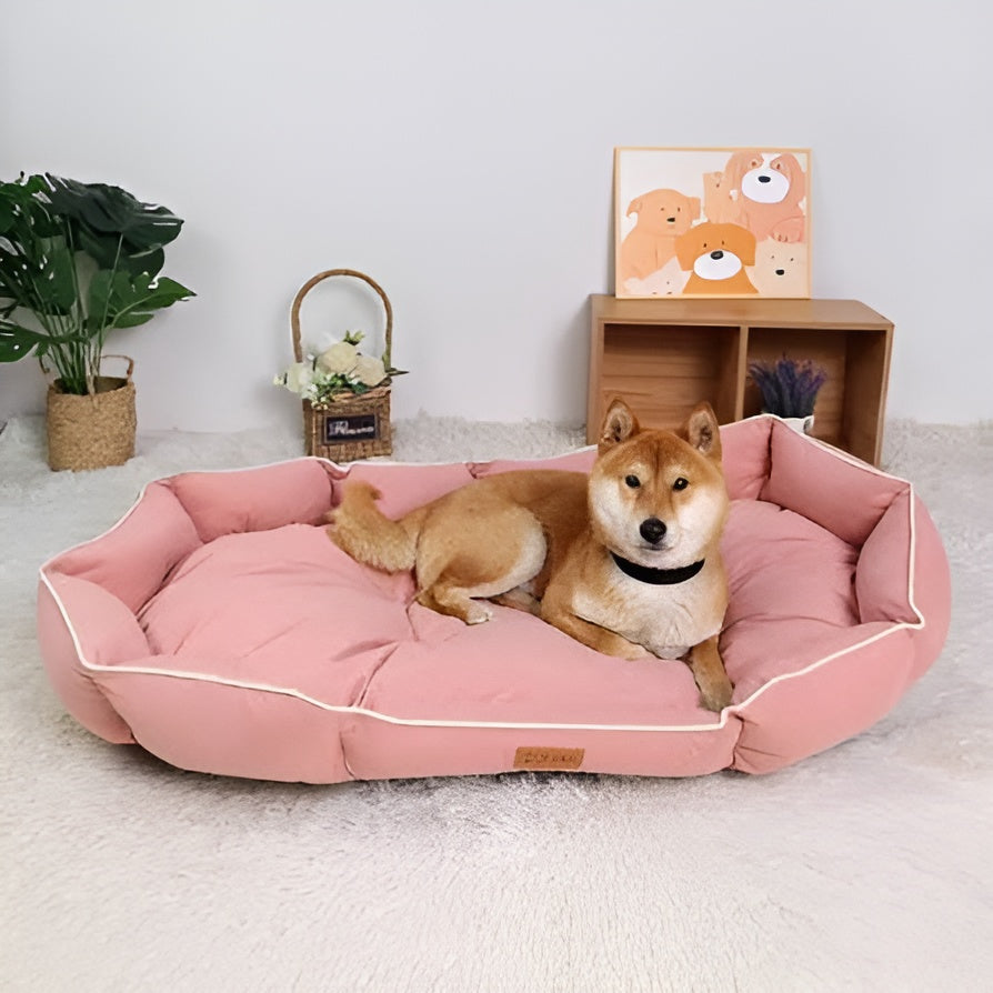 Cozy Pet Beds Everyday Comfort